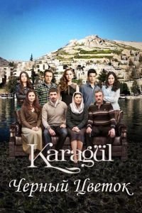 Чёрный цветок 1 сезон